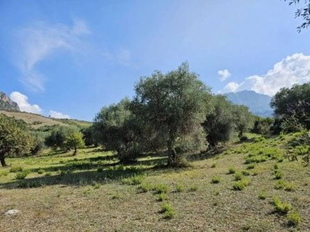 Terreno a Collesano in Contrada Cugnira - Foto 4
