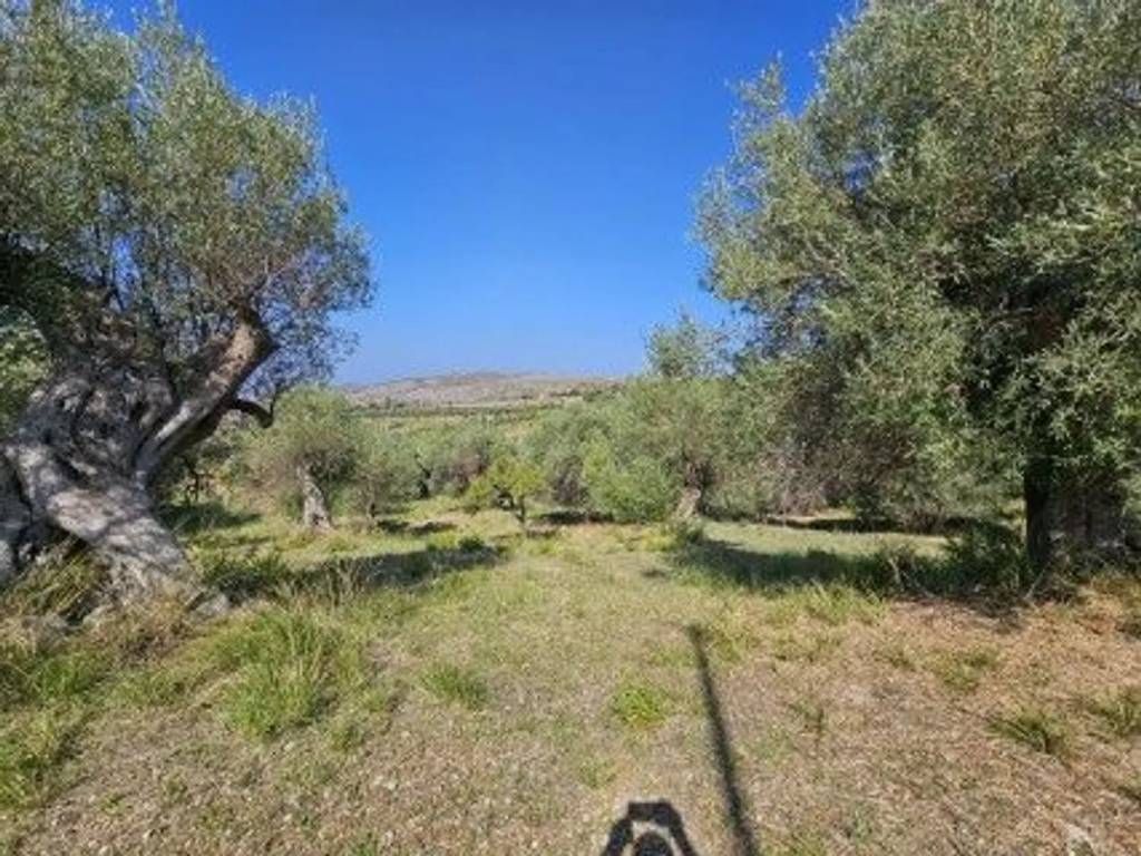 Terreno a Collesano in Contrada Cugnira - Foto 5