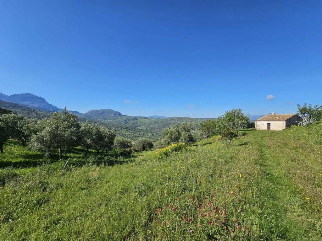 Rustico / casale a Collesano in Via Ogliastro - Foto 2