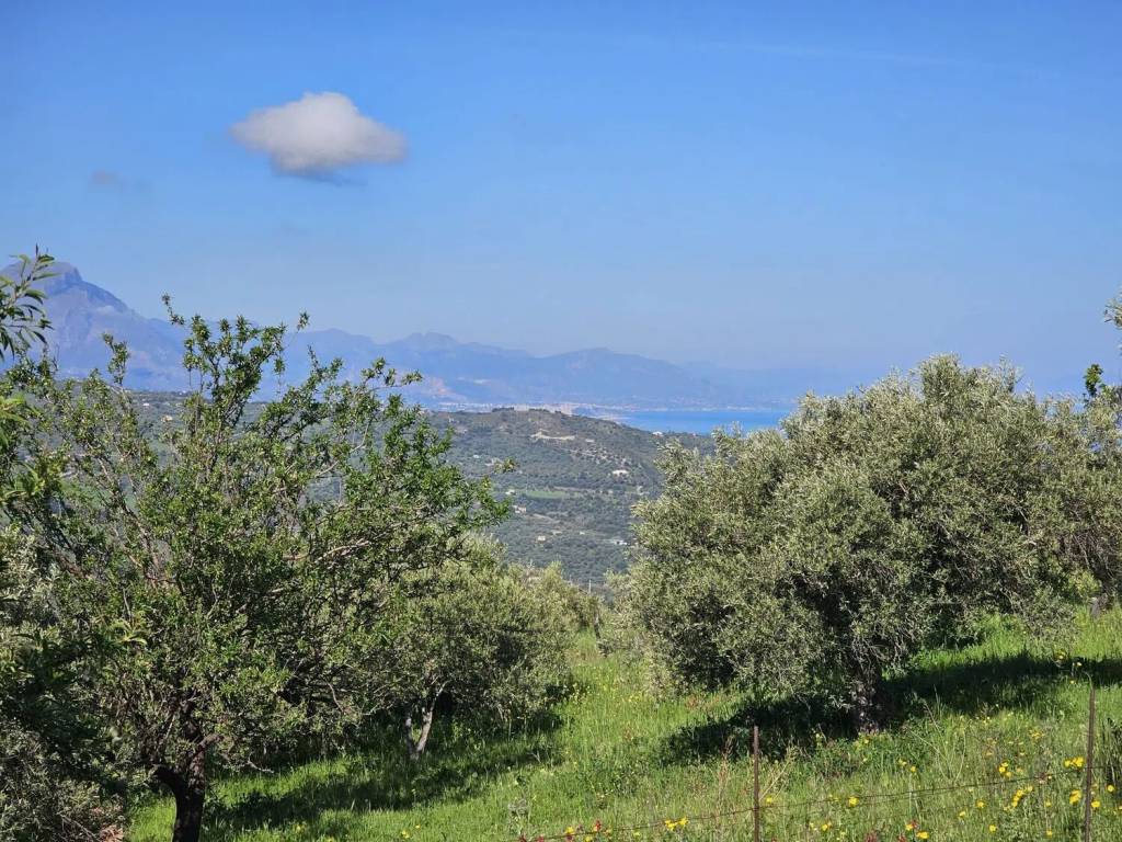 Rustico / casale a Collesano in Via Ogliastro - Foto 4
