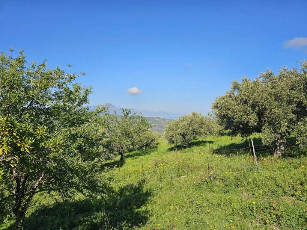 Rustico / casale a Collesano in Via Ogliastro - Foto 5