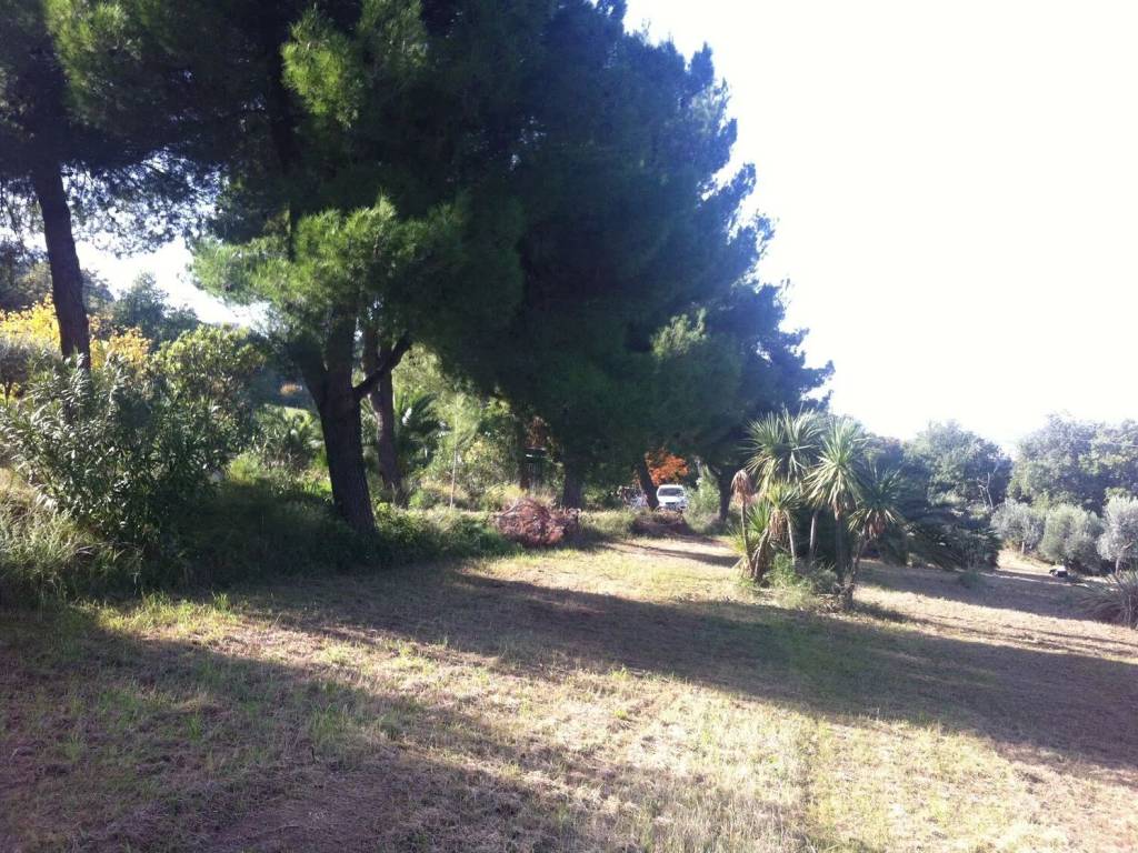 Terreno a Ripatransone - Foto 2