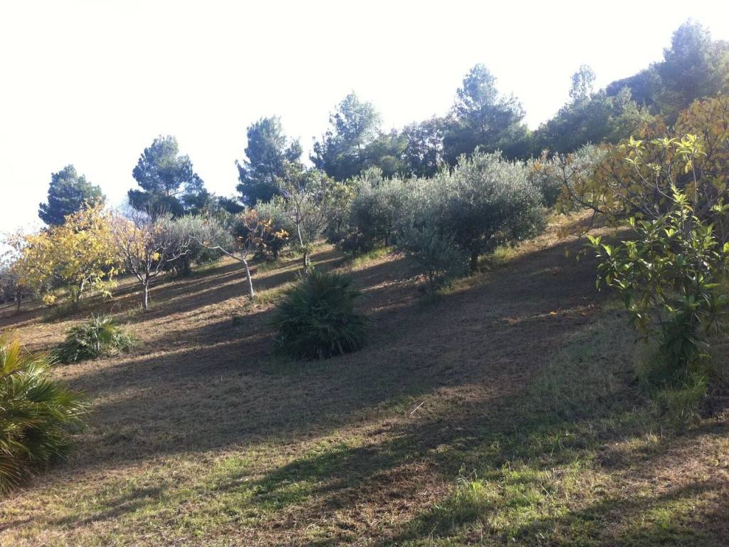 Terreno a Ripatransone - Foto 3