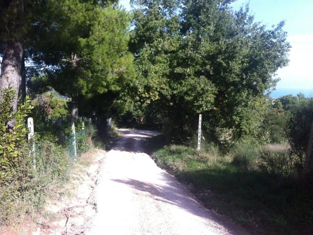 Terreno a Ripatransone - Foto 5
