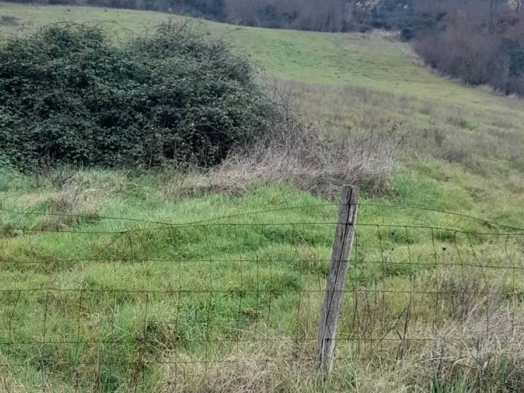 Terreno a Manciano in Località La Vecchia No Number - Foto 3