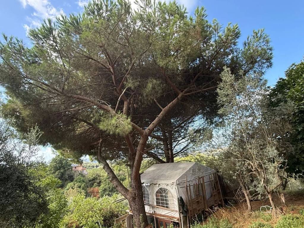 Terreno a Manciano in Circonvallazione Sud No Number - Foto 4