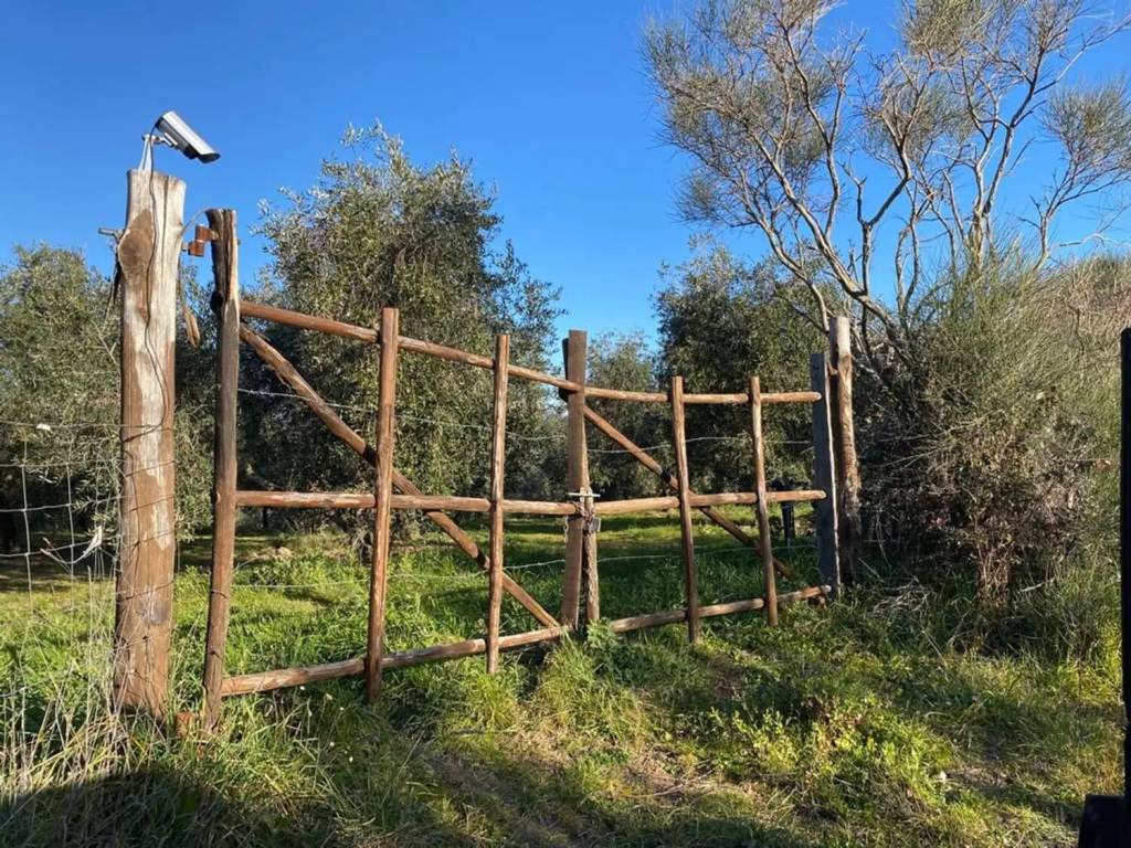 Terreno a Pitigliano in Snc No Number - Foto 4