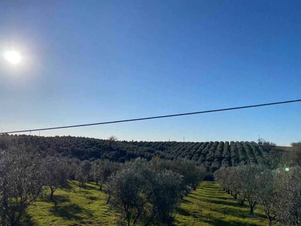 Terreno a Pitigliano in Snc No Number - Foto 5