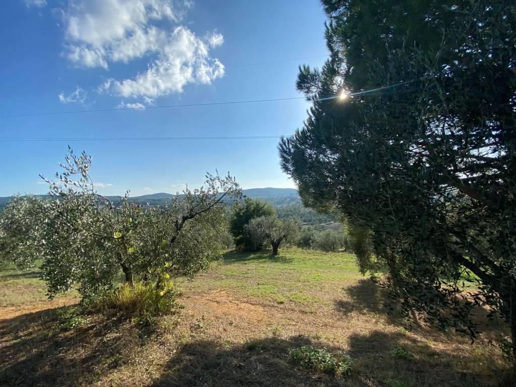 Terreno a Manciano in La Vecchia No Number - Foto 3