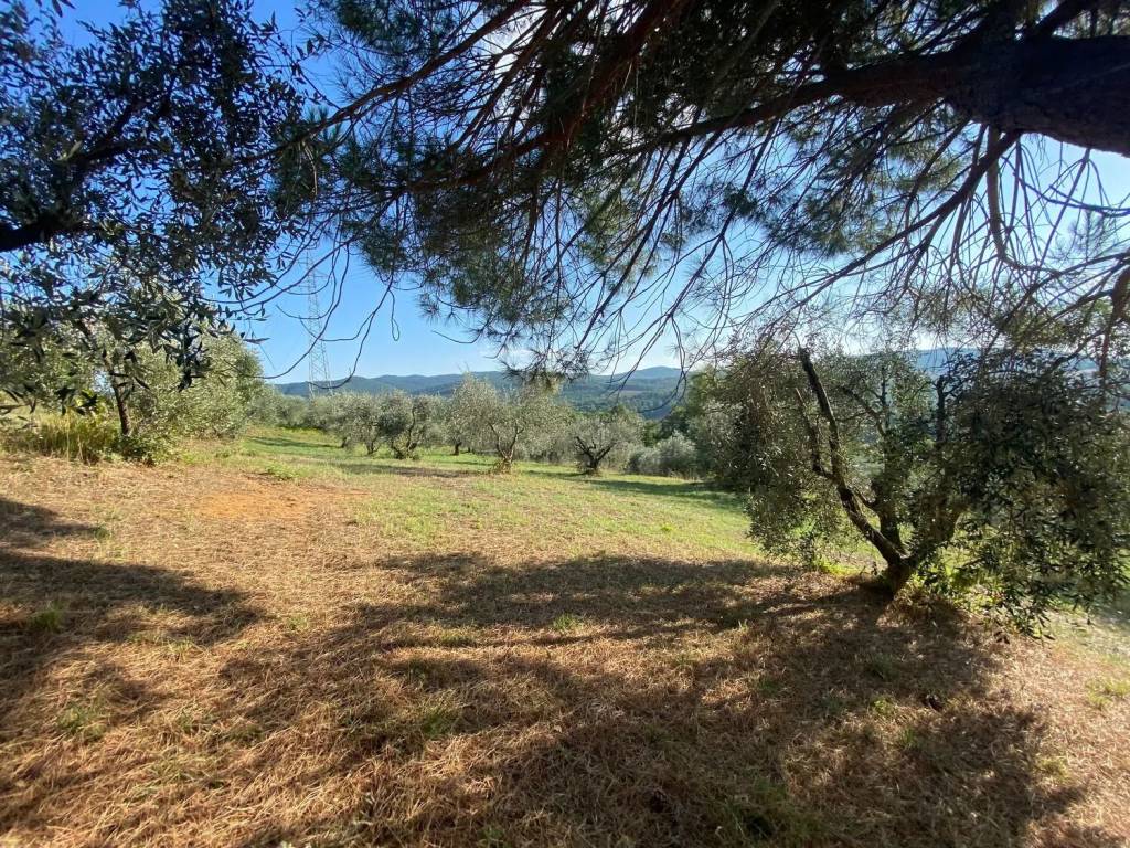 Terreno a Manciano in La Vecchia No Number - Foto 4