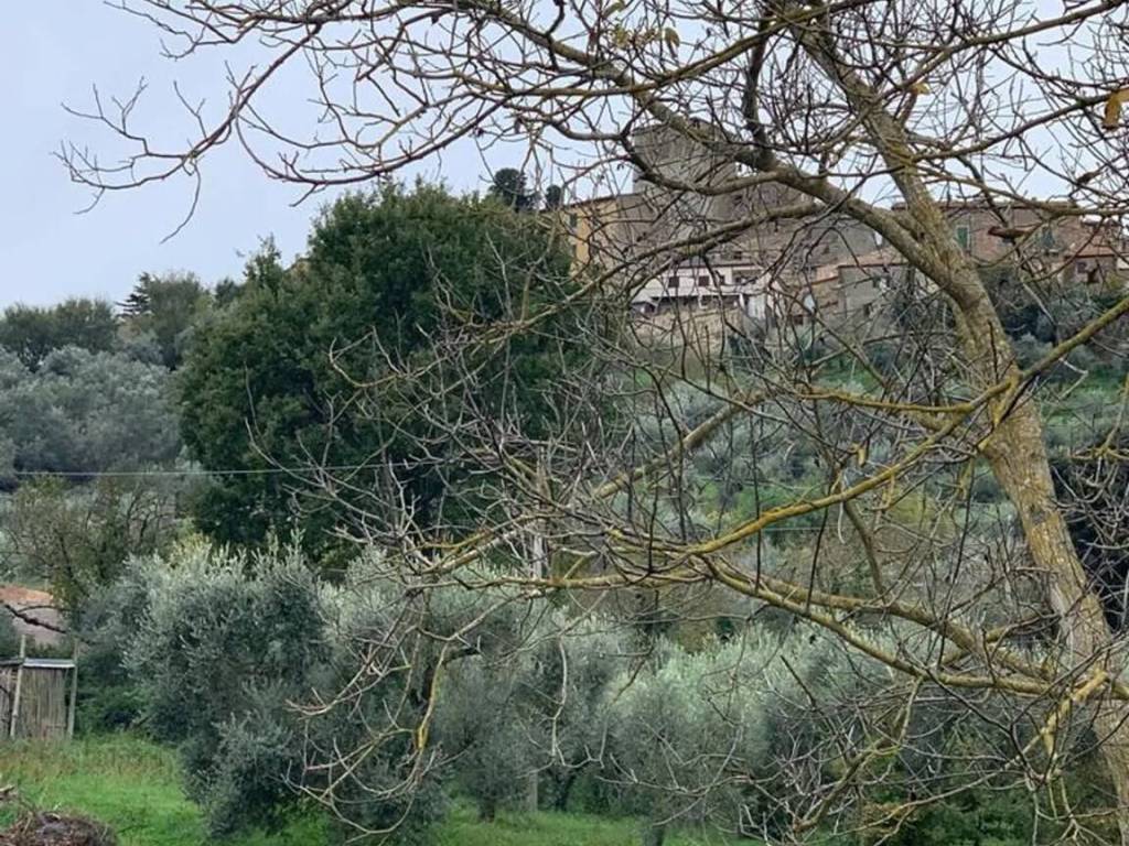 Terreno a Manciano in Montemerano No Number - Foto 2