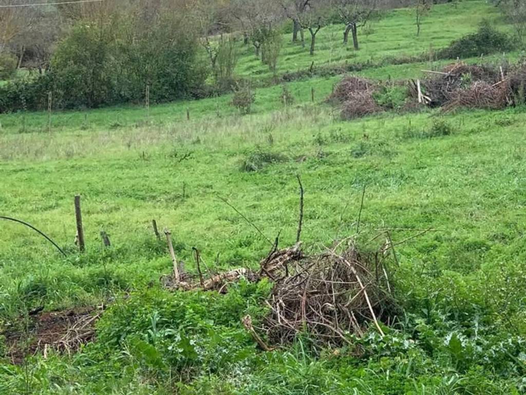 Terreno a Manciano in Montemerano No Number - Foto 3