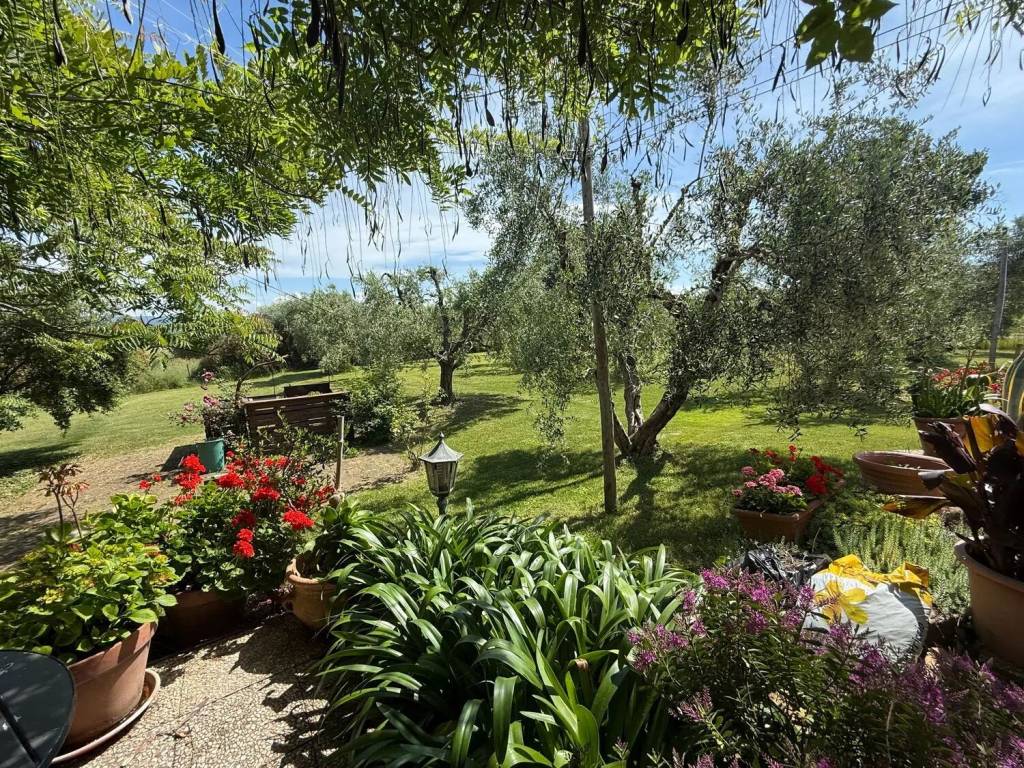Immobile a Manciano in Poggio Bertino , Saturnia No Number - Foto 4