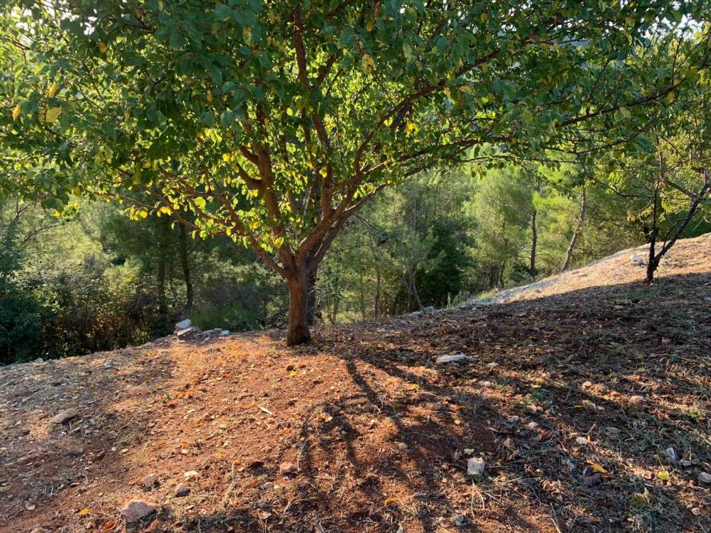 Villa a Vico del gargano - Foto 2