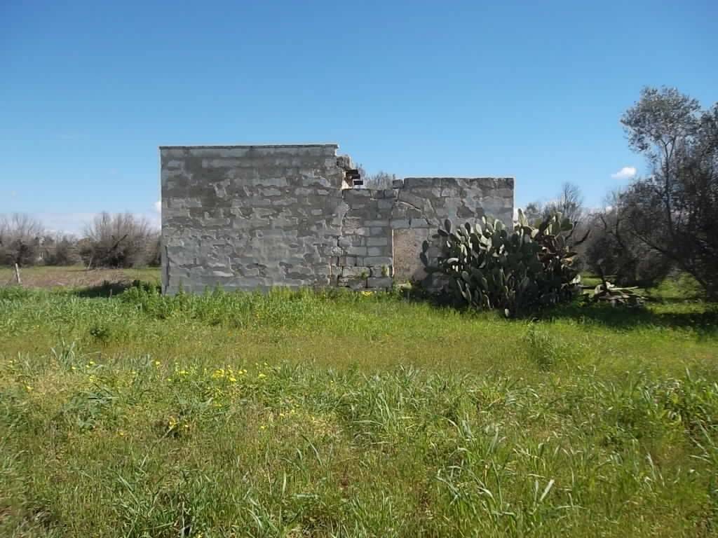 Rustico / casale a Casarano in SP321 - Foto 5