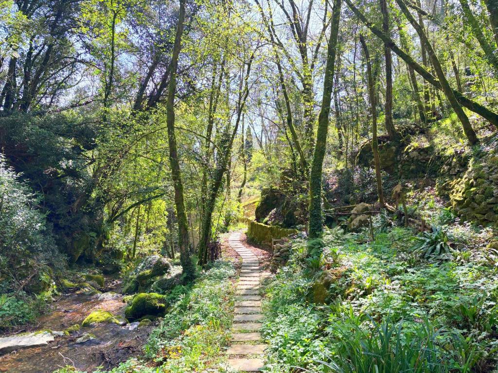 Rustico / casale a Camaiore in Via Seimiglia, 10 - Foto 5