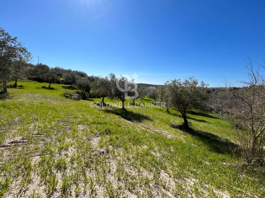 Villa a Ragusa in Strada comunale S. Margherita - Foto 5