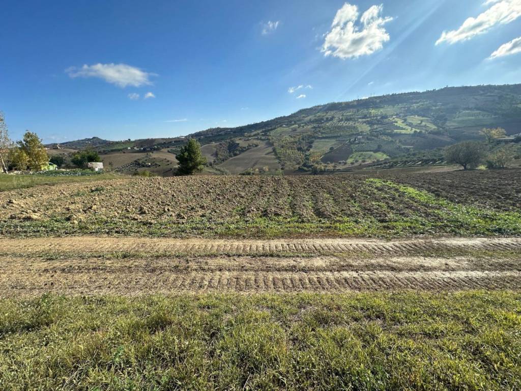Terreno a Atri in Strada Provinciale del Cagno - Foto 3