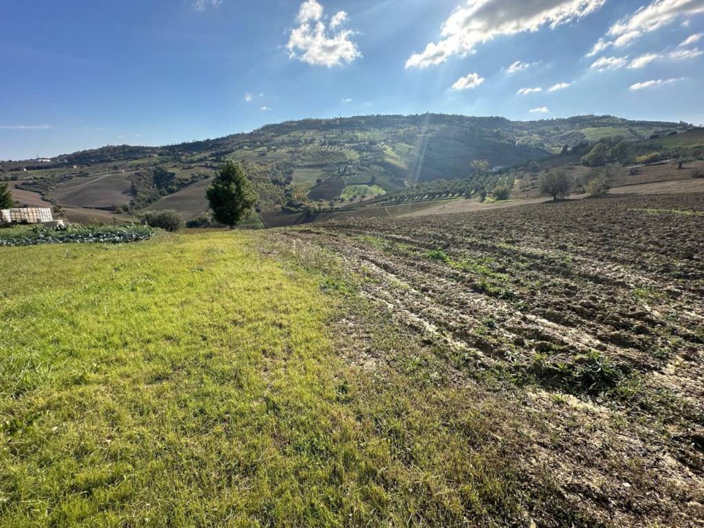Terreno a Atri in Strada Provinciale del Cagno - Foto 5