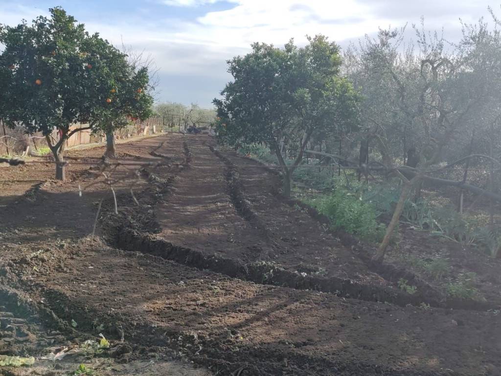 Immobile a Barletta in Viale Ippocrate - Foto 2