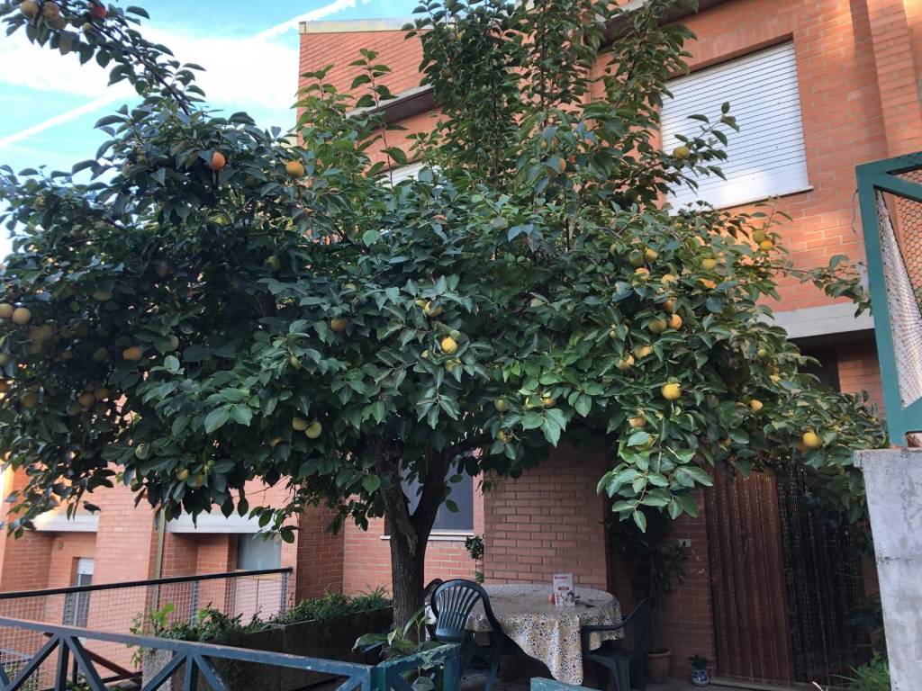 Casa indipendente a Paciano in Via della Valle - Foto 4