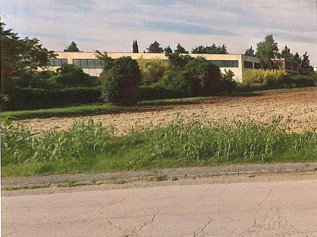 Terreno a Monsano - Foto 2