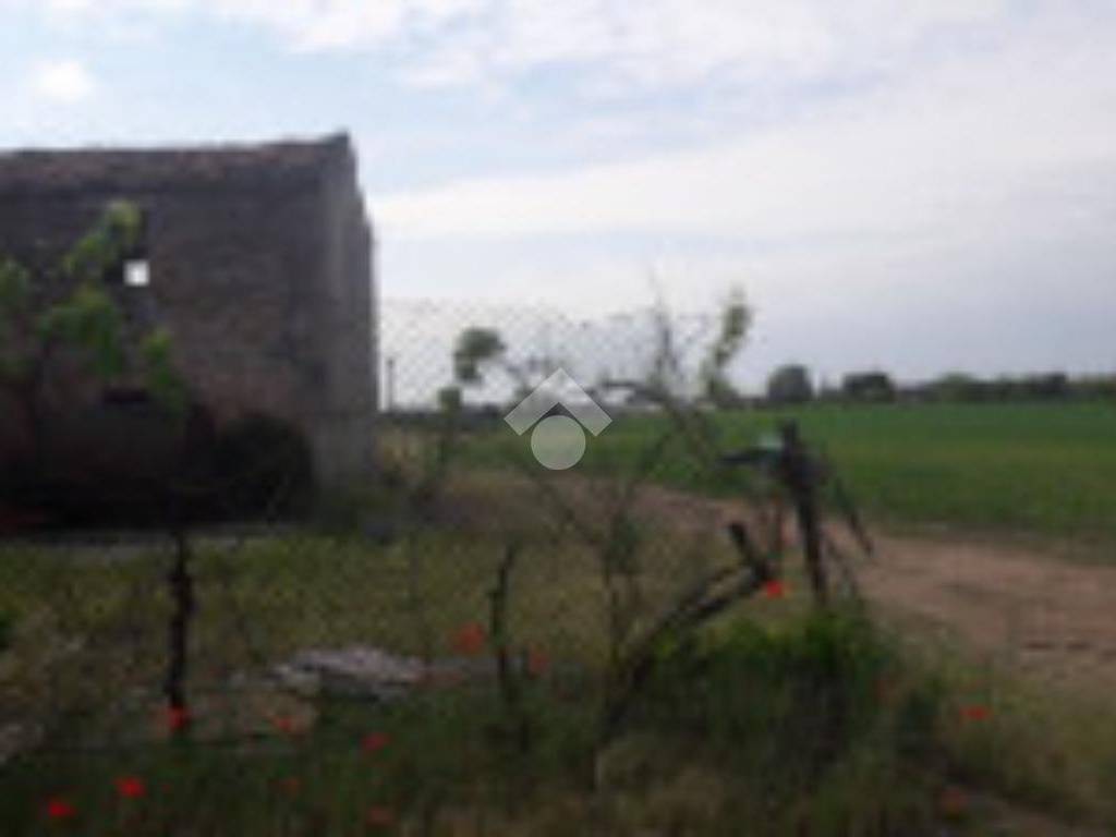 Rustico / casale a Bovolone - Foto 2