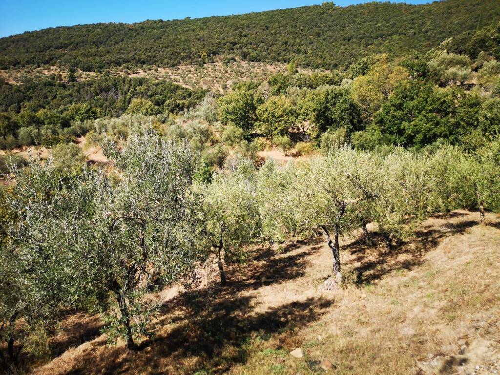 Terreno a Cortona in Case Sparse San Martino Bocena - Foto 2