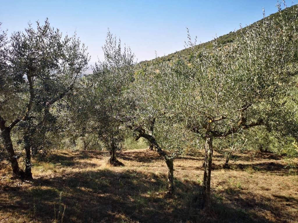 Terreno a Cortona in Case Sparse San Martino Bocena - Foto 5