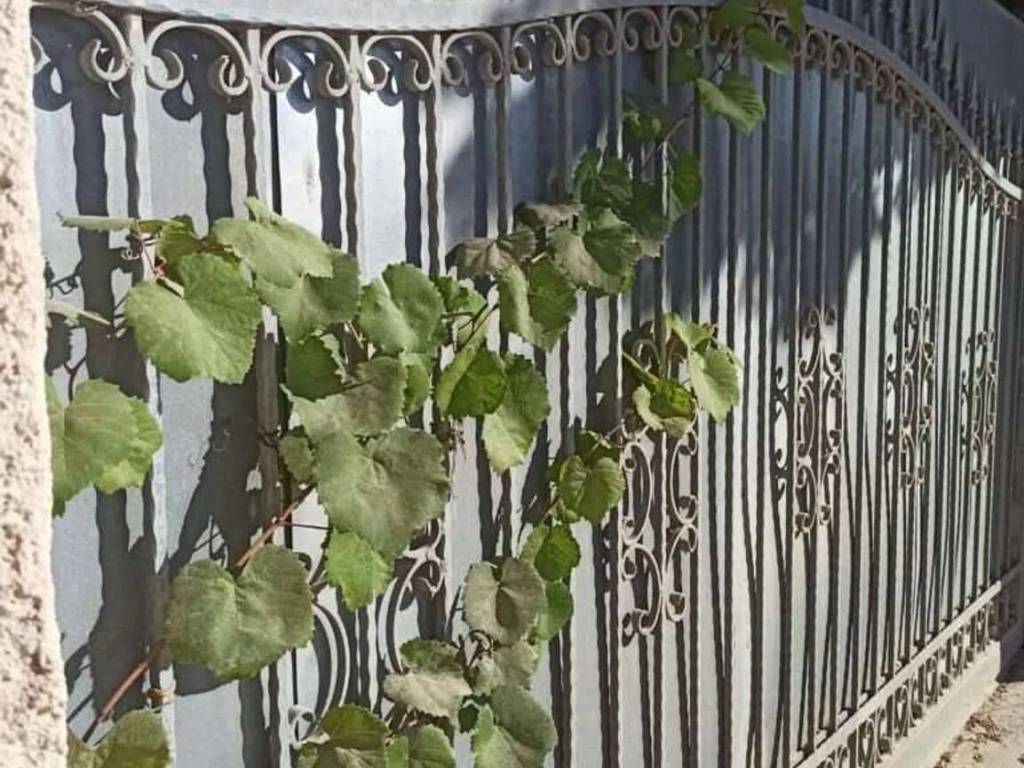 Terreno a Mazara del vallo - Foto 2