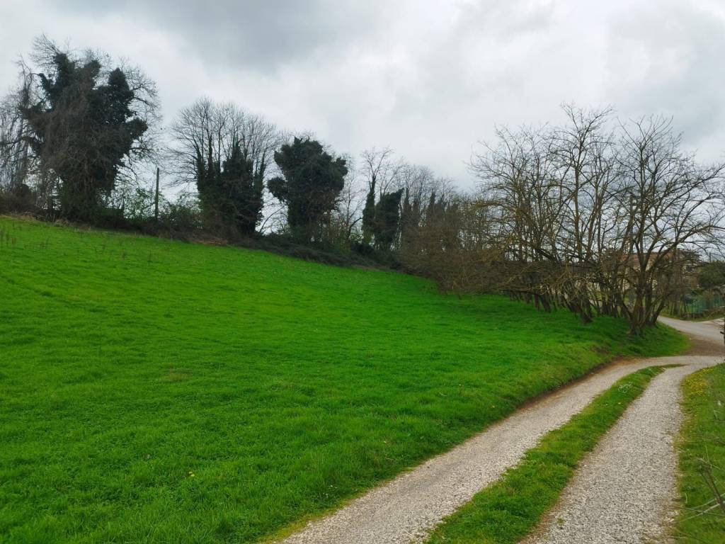 Terreno a Valmontone in Colle Cassette - Foto 4