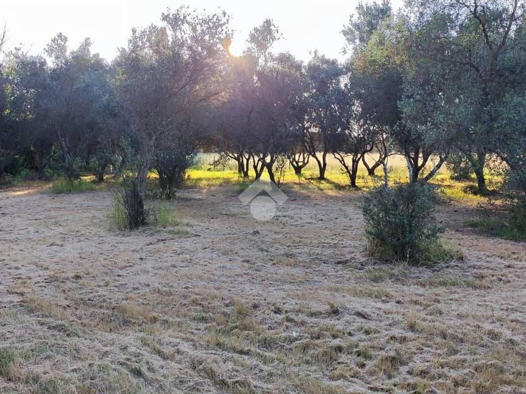 Rustico / casale a Brindisi in Contrada Masina - Foto 5