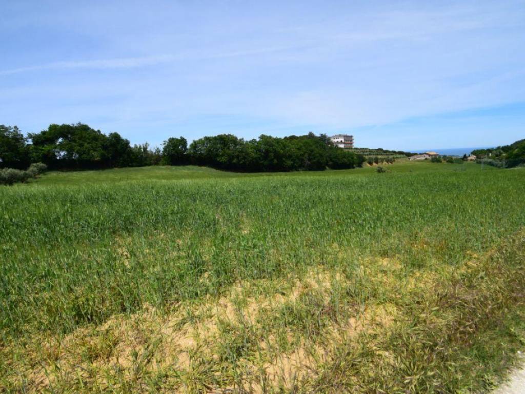 Terreno a Montecosaro in Località San Savino 12 - Foto 3