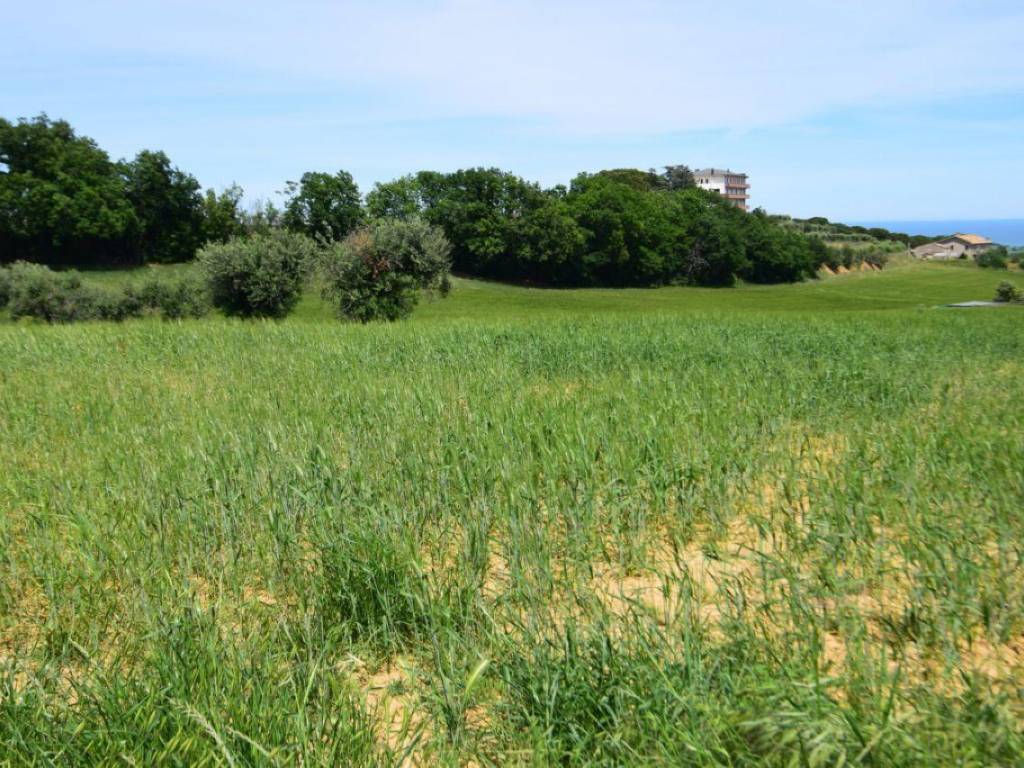 Terreno a Montecosaro in Località San Savino 12 - Foto 5