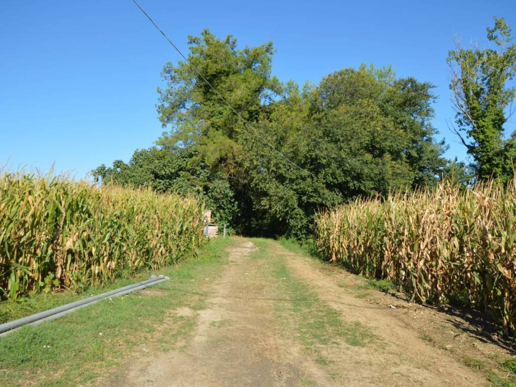 Villa a Jesi - Foto 5