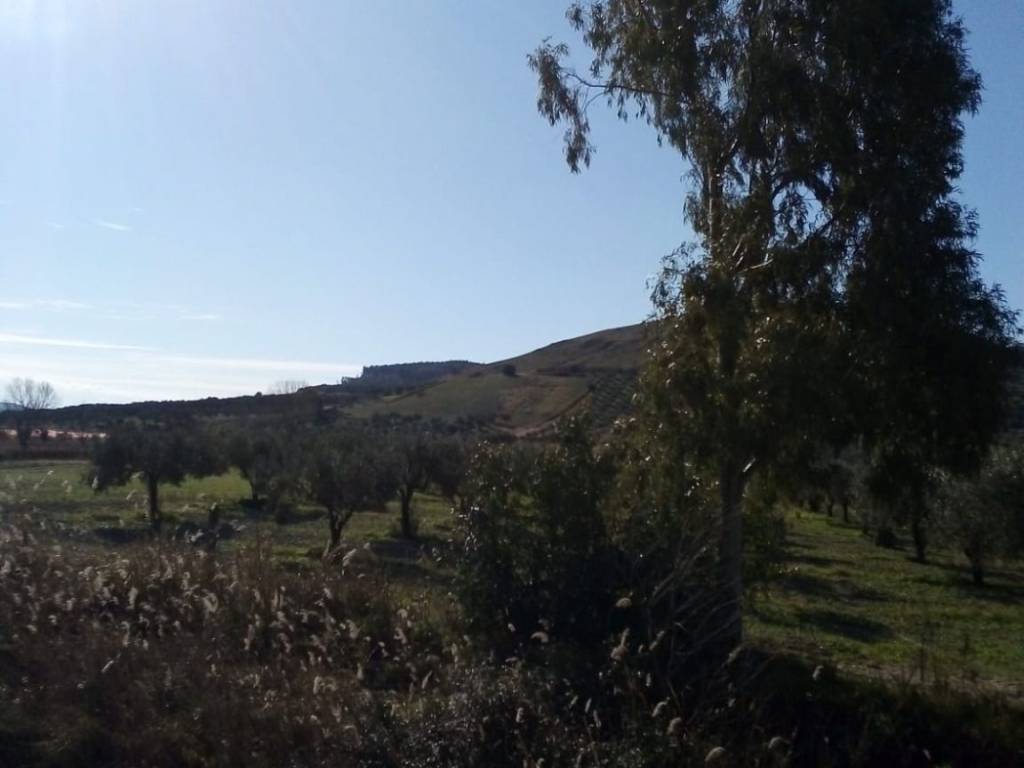 Terreno a Settingiano - Foto 2