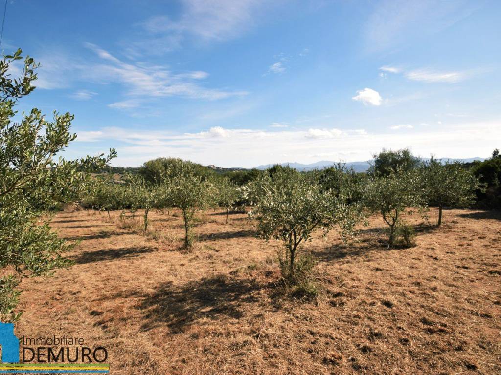 Rustico / casale a Olbia in Via Raica - Foto 3