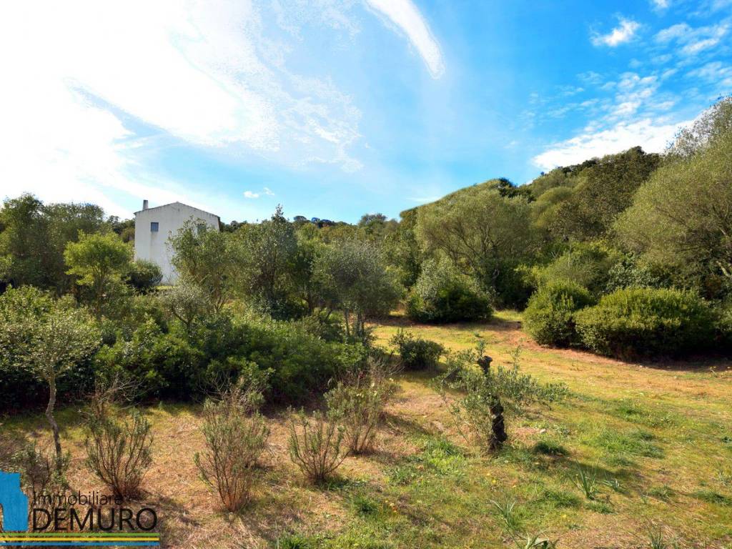 Rustico / casale a Olbia in Via Raica - Foto 4