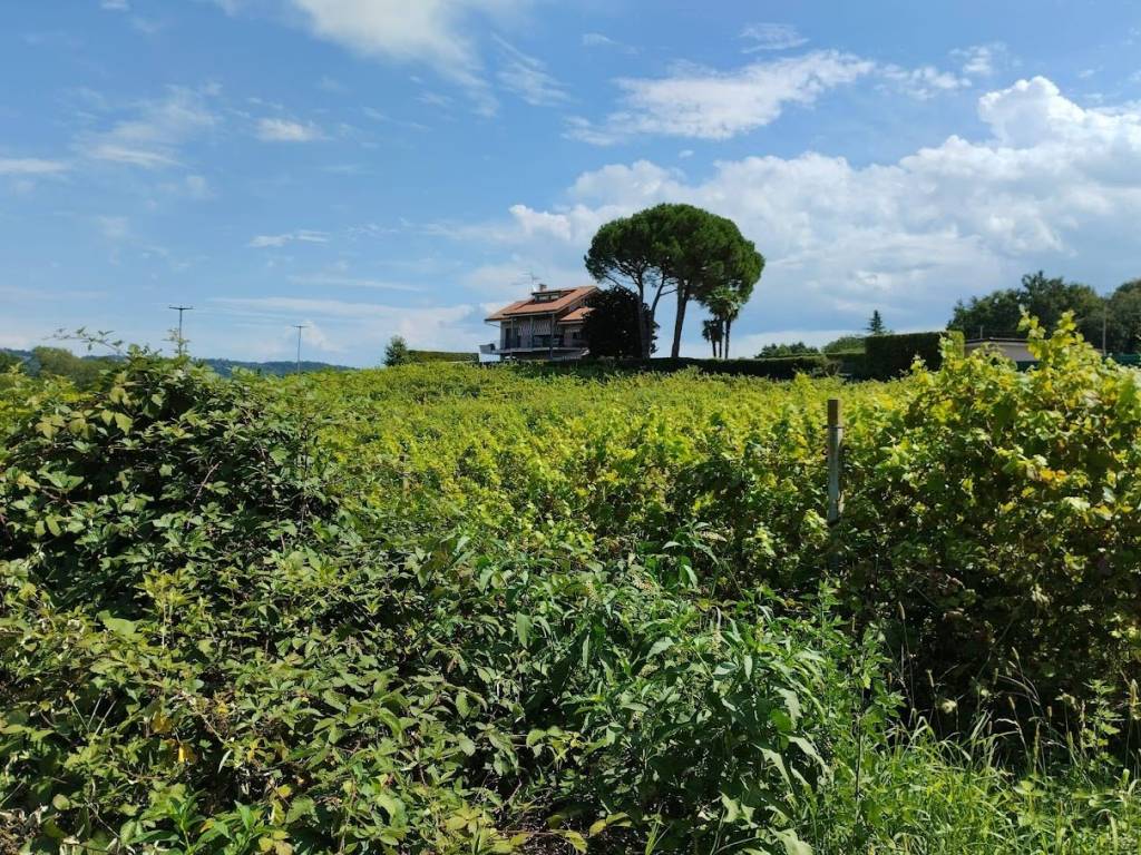Villa a Roppolo in Via San Giovanni Bosco - Foto 3