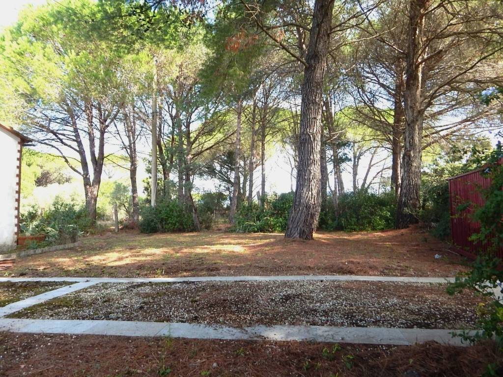 Villa a Castagneto carducci - Foto 5