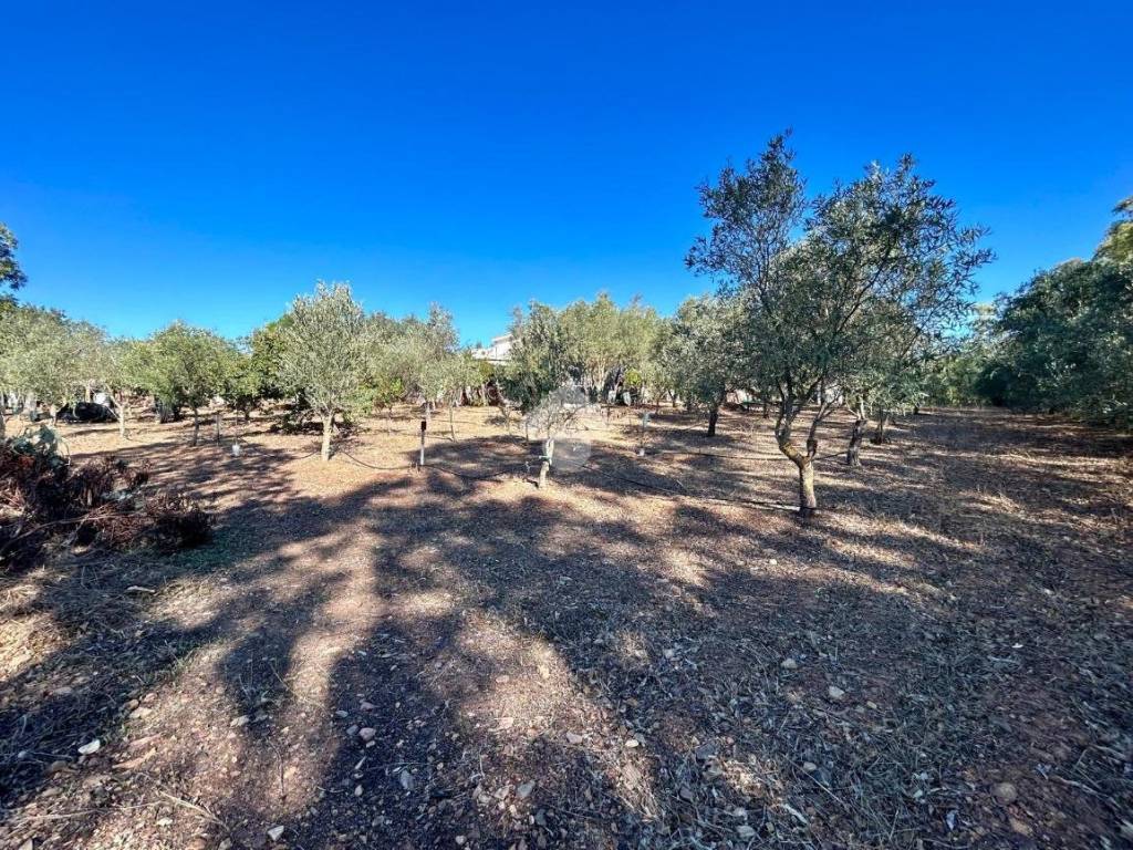 Villa a Uta in Località Pranu Zippiri - Foto 3