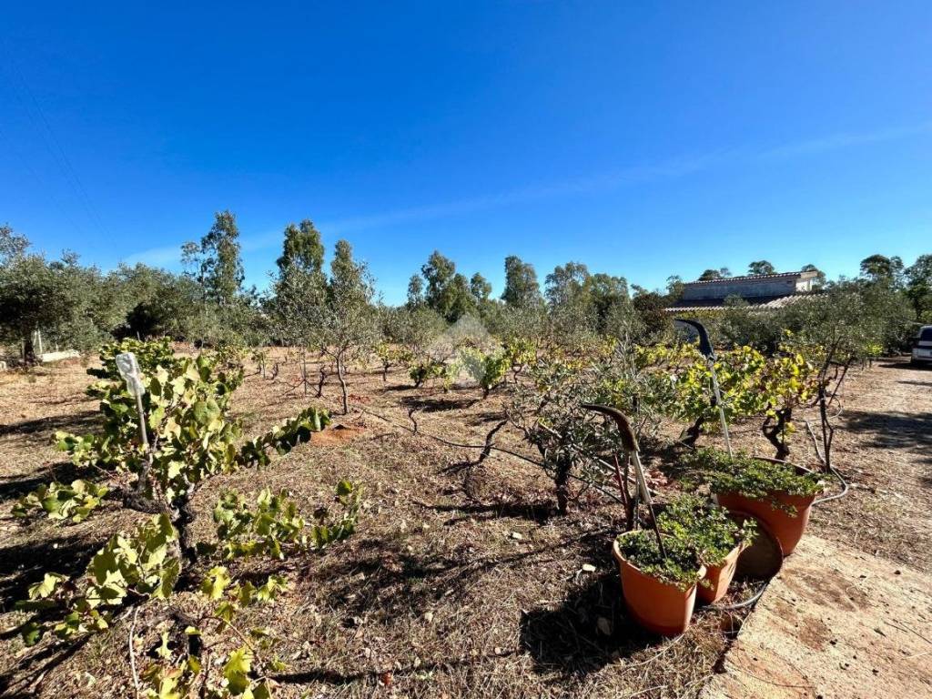 Villa a Uta in Località Pranu Zippiri - Foto 4