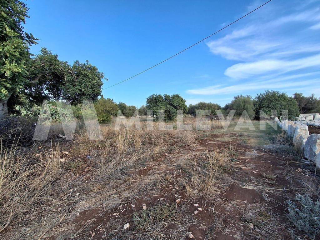 Terreno a Scicli in Contrada Alì - Foto 4