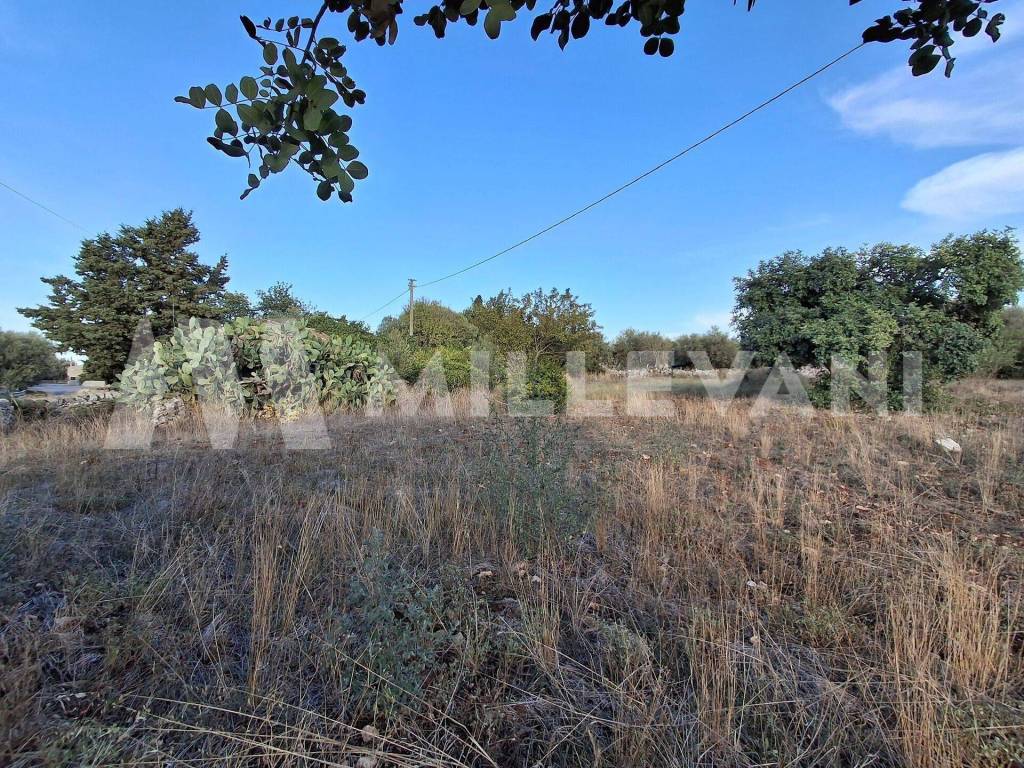 Terreno a Scicli in Contrada Alì - Foto 5