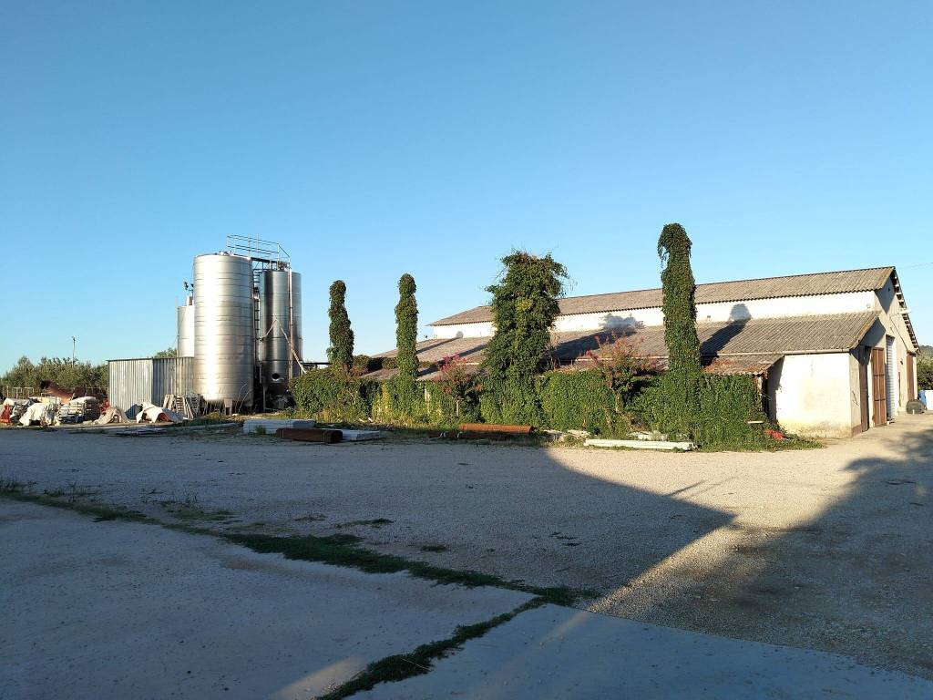 Terreno a Scerni - Foto 2