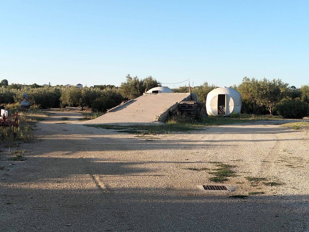 Terreno a Scerni - Foto 4