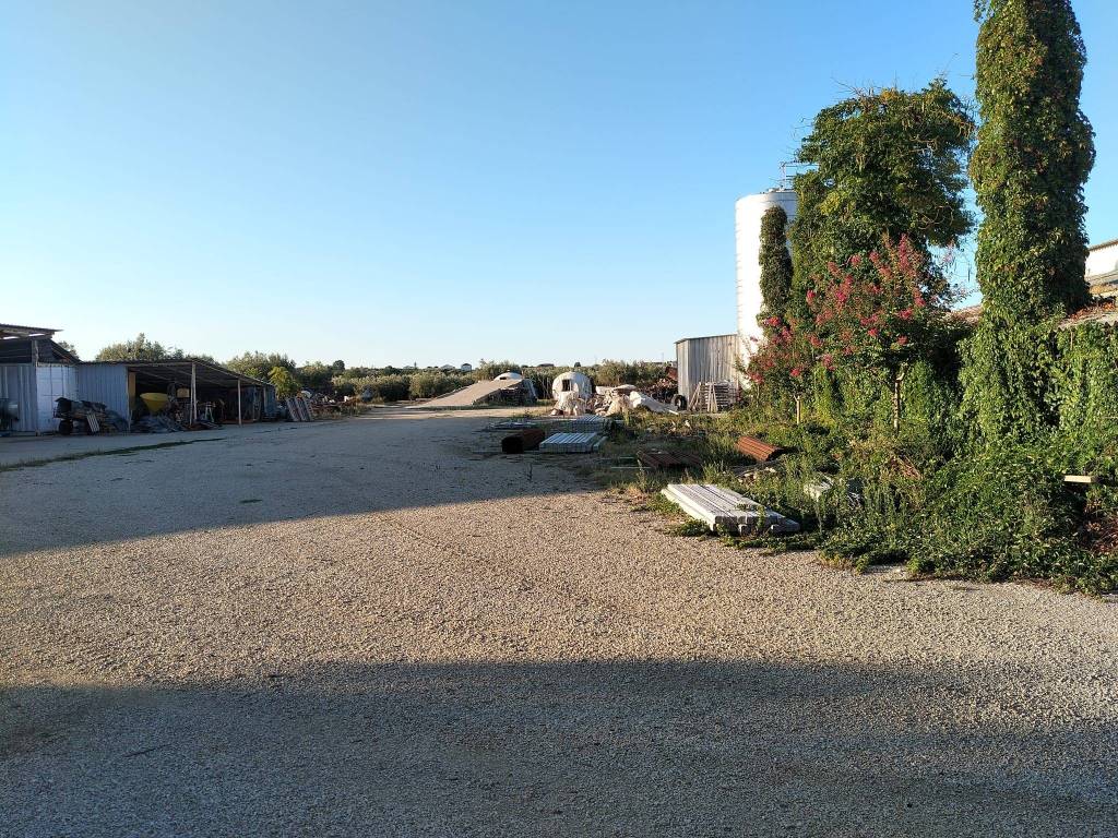 Terreno a Scerni - Foto 5