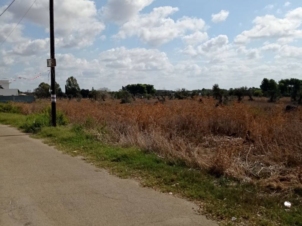 Terreno a Porto cesareo in Via Mare di Barents - Foto 3