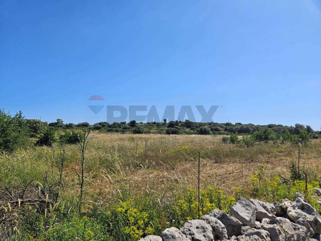 Terreno a Noto in CONTRADA CASE CUGNI - Foto 3