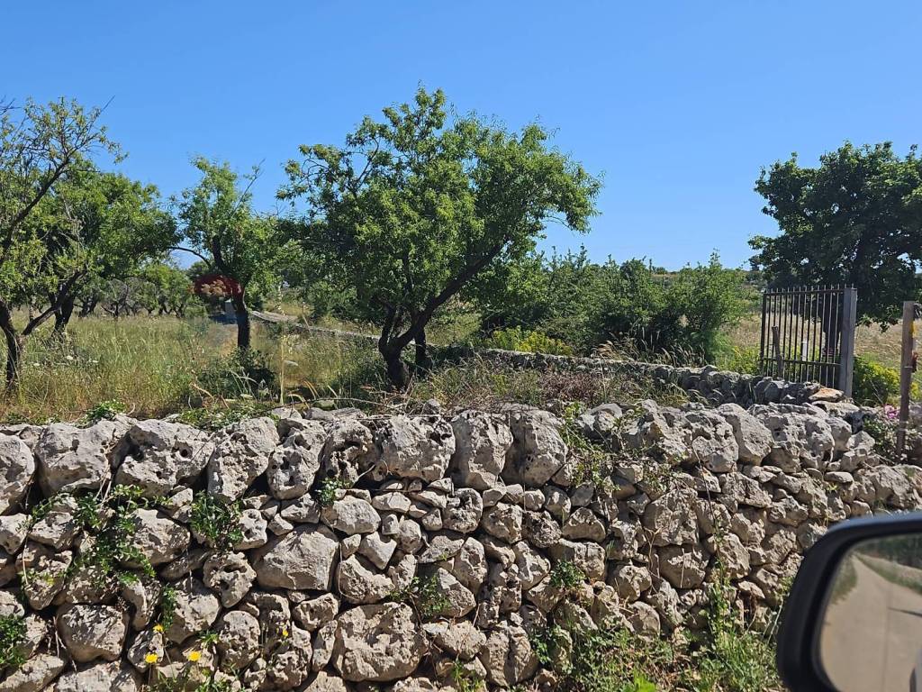 Terreno a Noto in CONTRADA CASE CUGNI - Foto 5